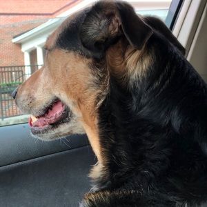 Meet your Posher, Faith